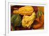 Usa, Oregon, Keizer, gourds.-Rick A Brown-Framed Photographic Print