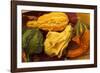 Usa, Oregon, Keizer, gourds.-Rick A Brown-Framed Photographic Print