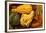 Usa, Oregon, Keizer, gourds.-Rick A Brown-Framed Photographic Print