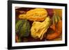 Usa, Oregon, Keizer, gourds.-Rick A Brown-Framed Photographic Print