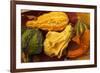 Usa, Oregon, Keizer, gourds.-Rick A Brown-Framed Premium Photographic Print