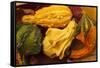 Usa, Oregon, Keizer, gourds.-Rick A Brown-Framed Stretched Canvas