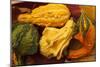 Usa, Oregon, Keizer, gourds.-Rick A Brown-Mounted Photographic Print