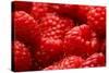 USA, Oregon, Keizer, Locally Grown Raspberries-Rick A. Brown-Stretched Canvas