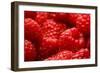 USA, Oregon, Keizer, Locally Grown Raspberries-Rick A. Brown-Framed Photographic Print