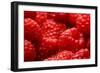 USA, Oregon, Keizer, Locally Grown Raspberries-Rick A. Brown-Framed Photographic Print