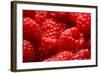 USA, Oregon, Keizer, Locally Grown Raspberries-Rick A. Brown-Framed Photographic Print