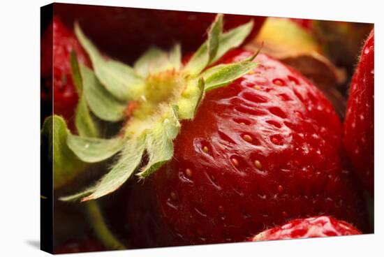 USA, Oregon, Keizer, Locally Grown Strawberry-Rick A. Brown-Stretched Canvas