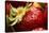 USA, Oregon, Keizer, Locally Grown Strawberry-Rick A. Brown-Stretched Canvas