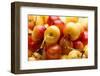 USA, Oregon, Keizer, Rainier Cherries-Rick A^ Brown-Framed Photographic Print