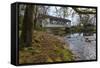 USA, Oregon, Larwood Wayside, Larwood Bridge in early Spring.-Rick A. Brown-Framed Stretched Canvas