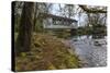 USA, Oregon, Larwood Wayside, Larwood Bridge in early Spring.-Rick A. Brown-Stretched Canvas