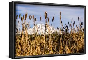 USA, Oregon. Lava Lake, cattails in foreground, Broken Top Mountain in background.-Alison Jones-Framed Photographic Print