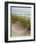 USA, Oregon. Manzanita, Nehalem Bay State Park, Dune grasses wave in the wind-Ann Collins-Framed Photographic Print