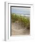 USA, Oregon. Manzanita, Nehalem Bay State Park, Dune grasses wave in the wind-Ann Collins-Framed Photographic Print