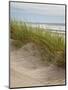 USA, Oregon. Manzanita, Nehalem Bay State Park, Dune grasses wave in the wind-Ann Collins-Mounted Photographic Print