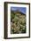 USA, Oregon. Milkweed and Cliff-Steve Terrill-Framed Photographic Print