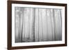 USA, Oregon, Morrow County. Poplar Trees at the Boardman Tree farm.-Brent Bergherm-Framed Photographic Print