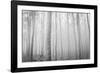 USA, Oregon, Morrow County. Poplar Trees at the Boardman Tree farm.-Brent Bergherm-Framed Photographic Print