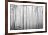 USA, Oregon, Morrow County. Poplar Trees at the Boardman Tree farm.-Brent Bergherm-Framed Photographic Print