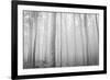 USA, Oregon, Morrow County. Poplar Trees at the Boardman Tree farm.-Brent Bergherm-Framed Photographic Print