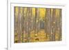 USA, Oregon, Morrow County. Poplar Trees at the Boardman Tree farm.-Brent Bergherm-Framed Photographic Print