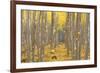 USA, Oregon, Morrow County. Poplar Trees at the Boardman Tree farm.-Brent Bergherm-Framed Photographic Print