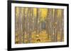 USA, Oregon, Morrow County. Poplar Trees at the Boardman Tree farm.-Brent Bergherm-Framed Photographic Print