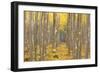 USA, Oregon, Morrow County. Poplar Trees at the Boardman Tree farm.-Brent Bergherm-Framed Photographic Print