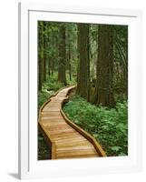 USA, Oregon, Mt. Hood National Forest. Boardwalk in forest.-Jaynes Gallery-Framed Photographic Print