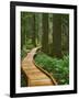 USA, Oregon, Mt. Hood National Forest. Boardwalk in forest.-Jaynes Gallery-Framed Photographic Print