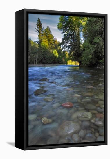 USA, Oregon, Mt. Hood National Forest. Sandy River Landscape-Steve Terrill-Framed Stretched Canvas