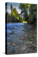 USA, Oregon, Mt. Hood National Forest. Sandy River Landscape-Steve Terrill-Stretched Canvas