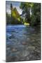 USA, Oregon, Mt. Hood National Forest. Sandy River Landscape-Steve Terrill-Mounted Photographic Print