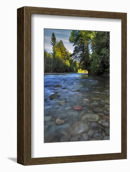 USA, Oregon, Mt. Hood National Forest. Sandy River Landscape-Steve Terrill-Framed Photographic Print