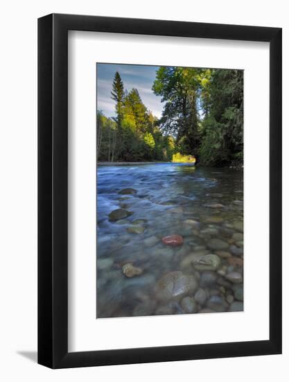 USA, Oregon, Mt. Hood National Forest. Sandy River Landscape-Steve Terrill-Framed Photographic Print