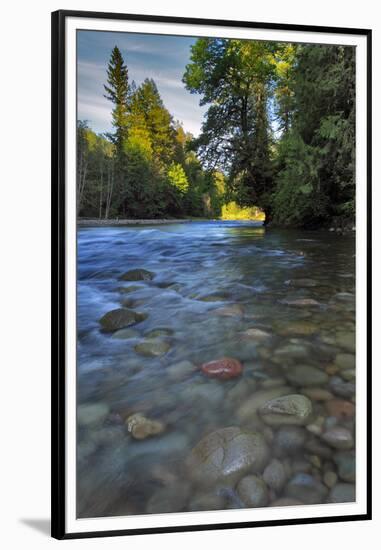 USA, Oregon, Mt. Hood National Forest. Sandy River Landscape-Steve Terrill-Framed Premium Photographic Print