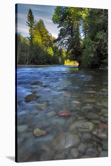 USA, Oregon, Mt. Hood National Forest. Sandy River Landscape-Steve Terrill-Stretched Canvas