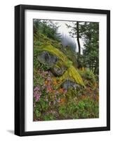 USA, Oregon, Mt. Hood NF. Hillside of Trees and Wildflowers-Steve Terrill-Framed Photographic Print