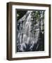 USA, Oregon, Mt. Hood Wilderness. Ramona Falls Landscape-Steve Terrill-Framed Photographic Print