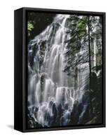 USA, Oregon, Mt. Hood Wilderness. Ramona Falls Landscape-Steve Terrill-Framed Stretched Canvas
