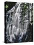 USA, Oregon, Mt. Hood Wilderness. Ramona Falls Landscape-Steve Terrill-Stretched Canvas