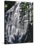 USA, Oregon, Mt. Hood Wilderness. Ramona Falls Landscape-Steve Terrill-Stretched Canvas