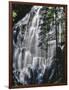 USA, Oregon, Mt. Hood Wilderness. Ramona Falls Landscape-Steve Terrill-Framed Photographic Print