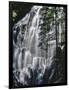 USA, Oregon, Mt. Hood Wilderness. Ramona Falls Landscape-Steve Terrill-Framed Photographic Print