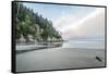 USA, Oregon. Oswald West State Park, Short Sand Beach.-Rob Tilley-Framed Stretched Canvas