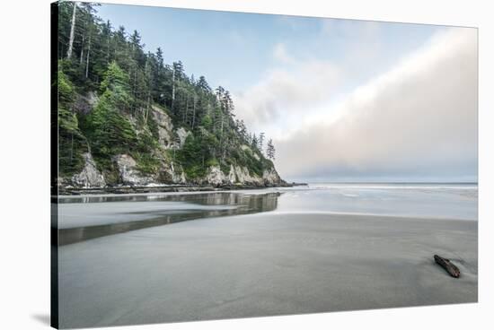 USA, Oregon. Oswald West State Park, Short Sand Beach.-Rob Tilley-Stretched Canvas