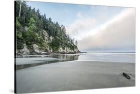 USA, Oregon. Oswald West State Park, Short Sand Beach.-Rob Tilley-Stretched Canvas