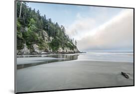 USA, Oregon. Oswald West State Park, Short Sand Beach.-Rob Tilley-Mounted Photographic Print