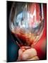 USA, Oregon, Portland. A swirl of red wine in glass reflecting light.-Richard Duval-Mounted Photographic Print